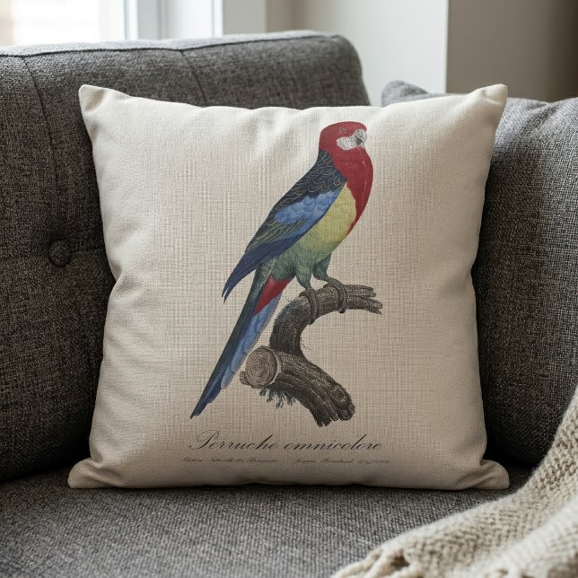 Eastern rosella or Platycercus eximius parakeet Throw Pillow (Eastern rosella or Platycercus eximius parakeet. Throw Pillow)