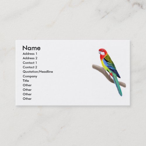 Eastern Rosella Parrot Business Card