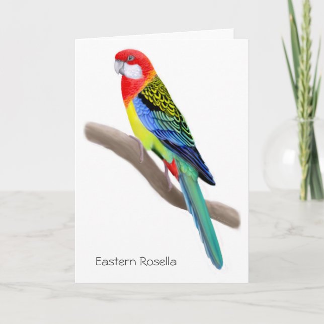 Eastern Rosella Parrot Card (Front)