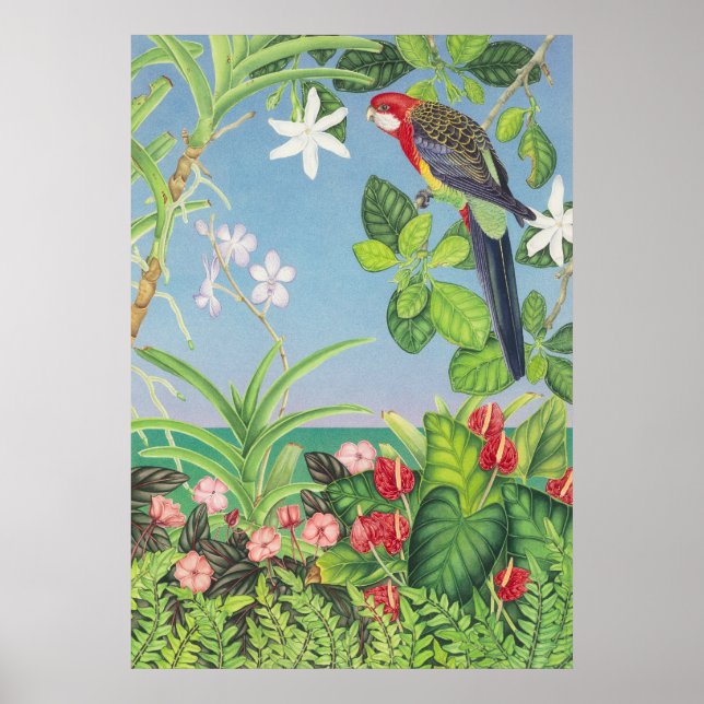 Eastern Rosella Poster (Front)