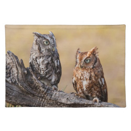 Eastern Screech Ow Roosting in Tree Cloth Placemat