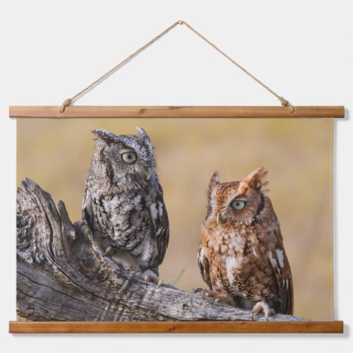 Eastern Screech Ow Roosting in Tree Hanging Tapestry