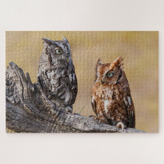 Eastern Screech Ow Roosting in Tree Jigsaw Puzzle (Horizontal)