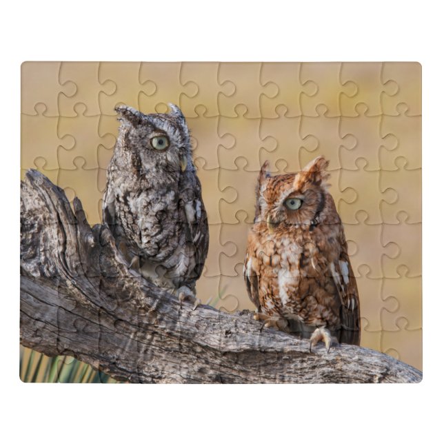 Eastern Screech Ow Roosting in Tree Jigsaw Puzzle (Puzzle Horizontal)