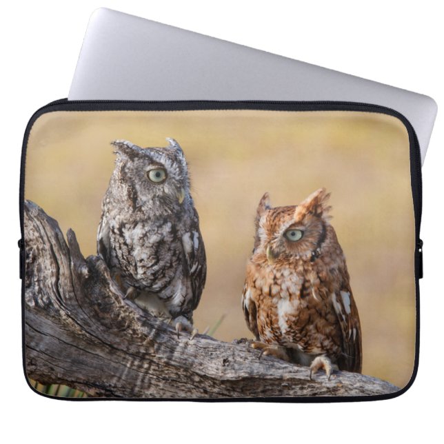 Eastern Screech Ow Roosting in Tree Laptop Sleeve (Front)