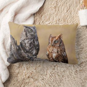 Eastern Screech Ow Roosting in Tree Lumbar Pillow