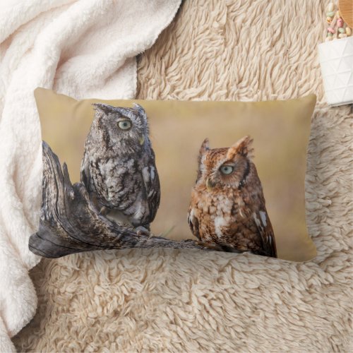 Eastern Screech Ow Roosting in Tree Lumbar Pillow