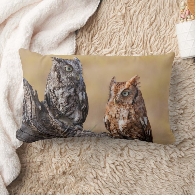 Eastern Screech Ow Roosting in Tree Lumbar Pillow (Blanket)