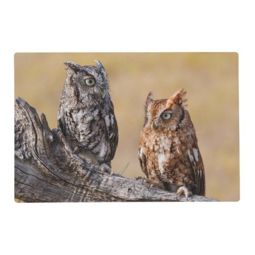 Eastern Screech Ow Roosting in Tree Placemat