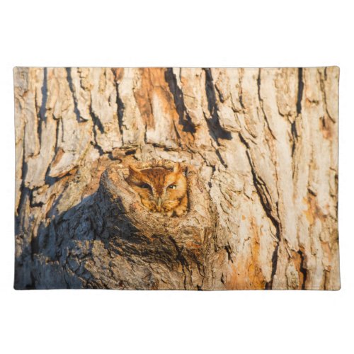 Eastern Screech_Owl Cloth Placemat