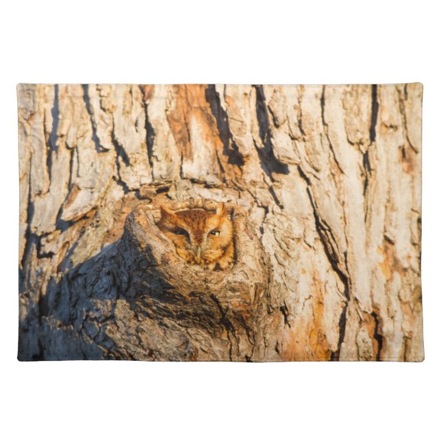 Eastern Screech-Owl Cloth Placemat (Front)