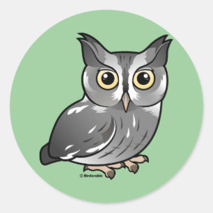 Eastern Screech Owl (Gray Phase) Classic Round Sticker
