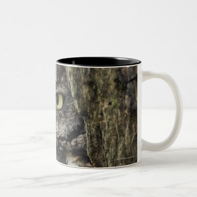 Eastern Screech Owl (Gray Phase) Otus asio Two-Tone Coffee Mug (Right)