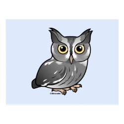 Eastern Screech Owl (Gray Phase) Postcard