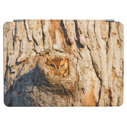 Eastern Screech_Owl iPad Air Cover