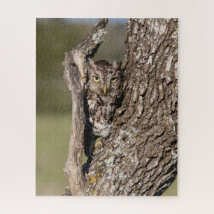 Eastern Screech Owl Jigsaw Puzzle