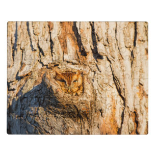 Eastern Screech-Owl Jigsaw Puzzle