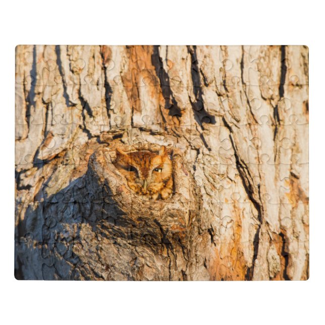 Eastern Screech-Owl Jigsaw Puzzle (Puzzle Horizontal)