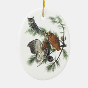 Eastern Screech Owl, John Audubon Ceramic Ornament