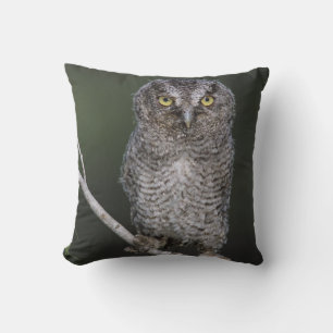 Eastern Screech-Owl, Megascops asio, Otus 2 Throw Pillow