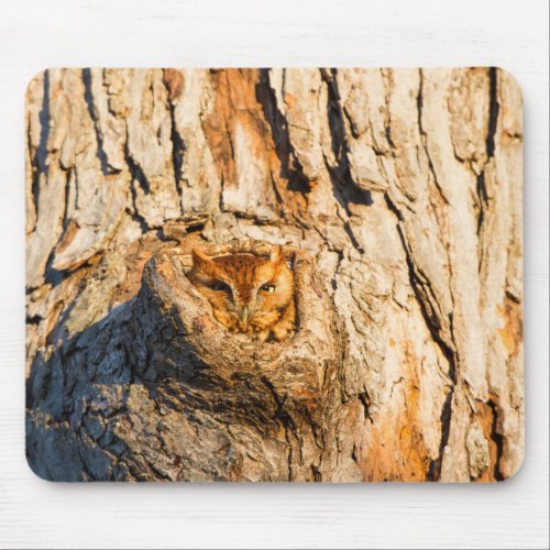 Eastern Screech_Owl Mouse Pad