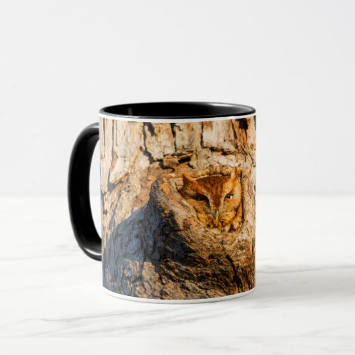 Eastern Screech_Owl Mug