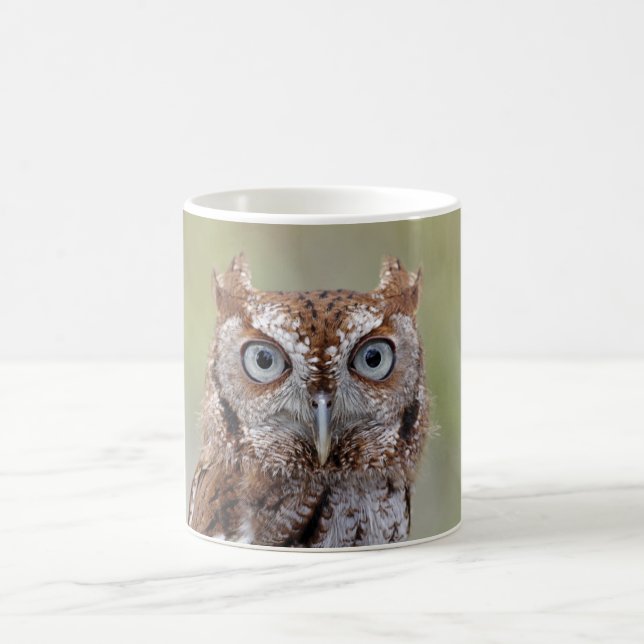 Eastern Screech Owl Photograph Coffee Mug (Center)
