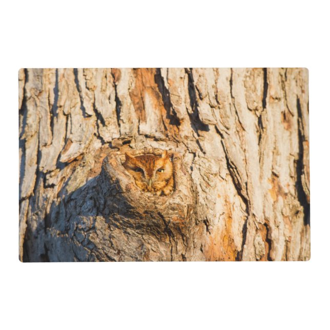 Eastern Screech-Owl Placemat (Front)
