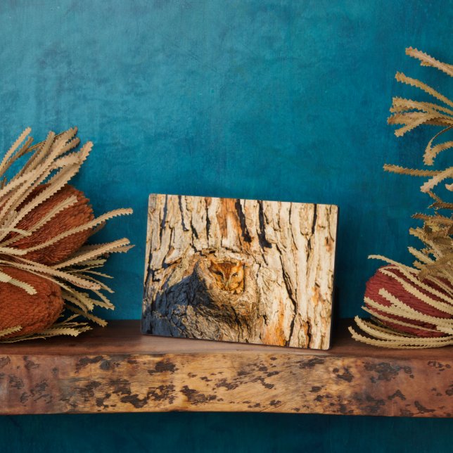 Eastern Screech-Owl Plaque (Side)