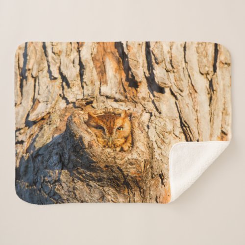 Eastern Screech_Owl Sherpa Blanket