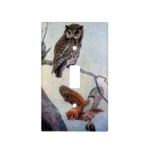 Eastern Screech Owls Light Switch Cover