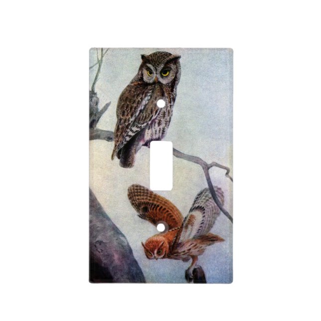 Eastern Screech Owls Light Switch Cover (Front)