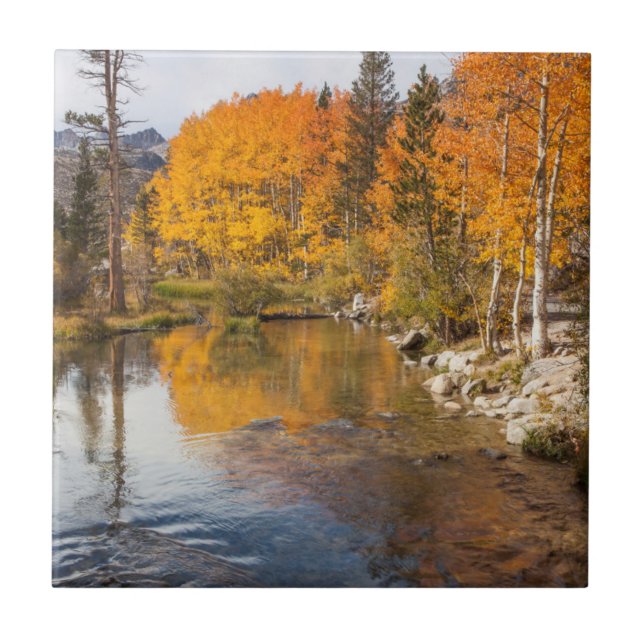 Eastern Sierra, Bishop Creek, California Outlet Tile (Front)