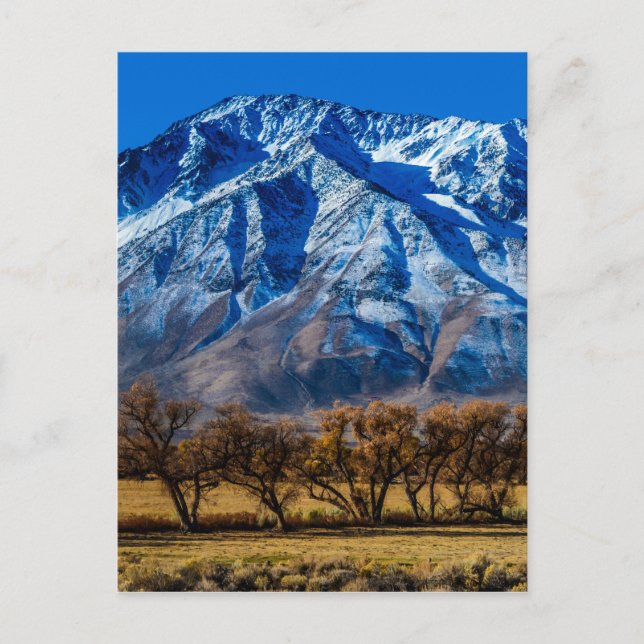 Eastern Sierra Nevada Fall - Bishop - Californa Postcard (Front)