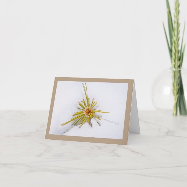 Eastern Sierra Snapshots Note Cards (Front)