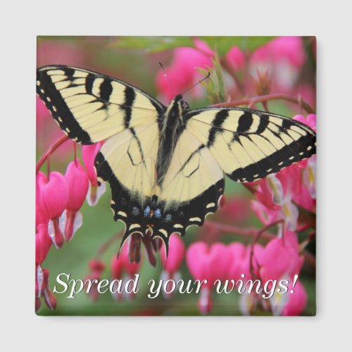 Eastern Swallowtail 2 Magnet