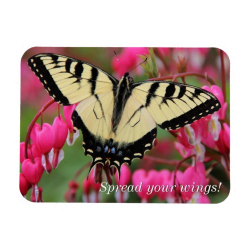 Eastern Swallowtail 2 Magnet