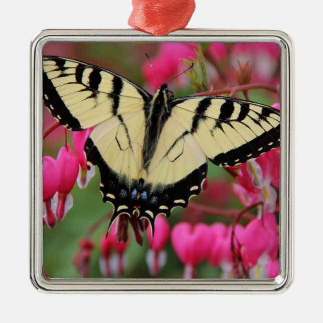Eastern Swallowtail Metal Ornament (Front)