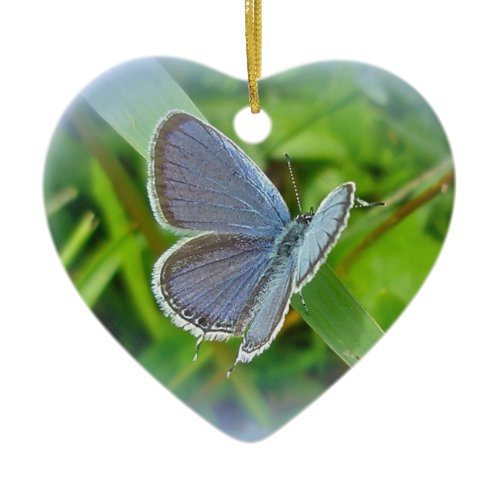 Eastern Tailed Blue Butterfly Christmas Ornament