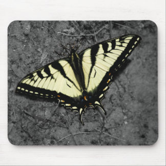 Eastern Tiger Mousepad