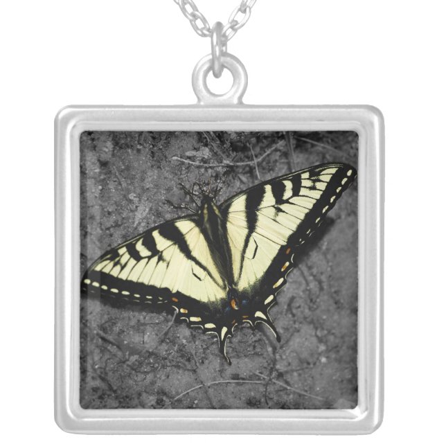 Eastern Tiger Necklace (Front)