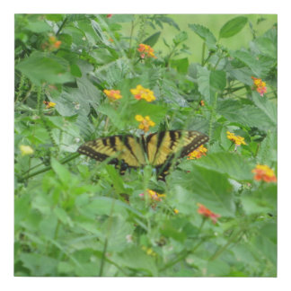 Eastern Tiger Swallowtail Butterfly at Rocky Creek Faux Canvas Print