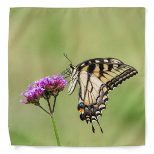 Eastern Tiger Swallowtail Butterfly Bandana
