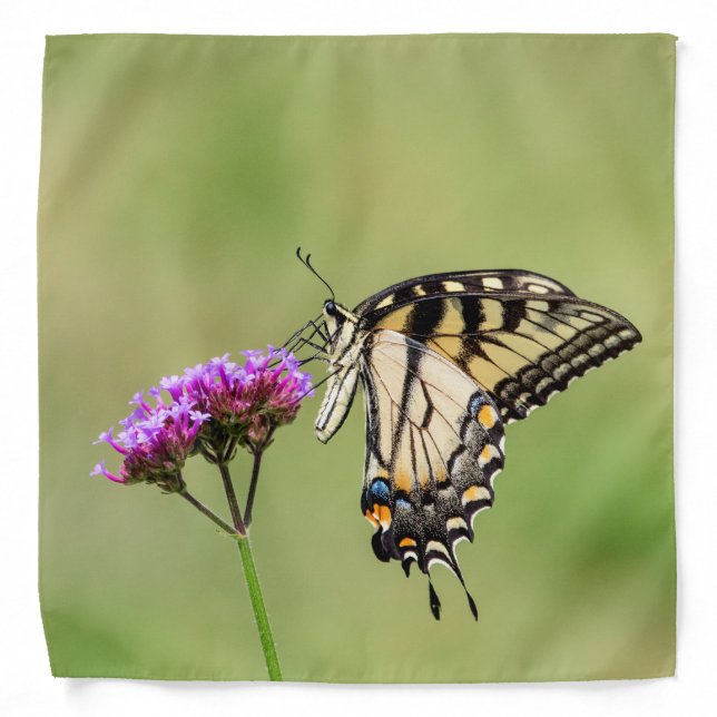Eastern Tiger Swallowtail Butterfly Bandana (Front)