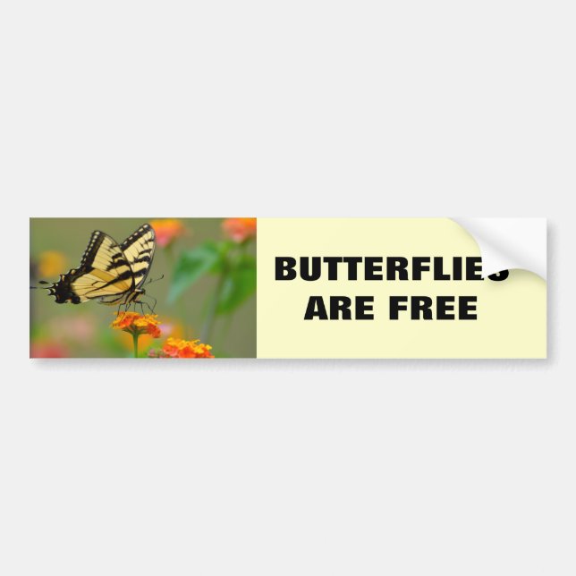 Eastern Tiger Swallowtail Butterfly Bumper Sticker (Front)