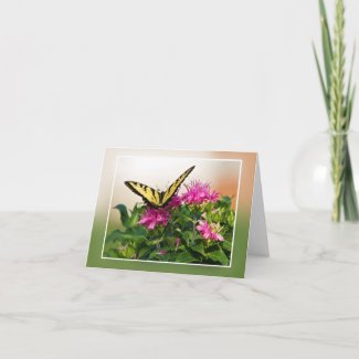 Eastern Tiger Swallowtail Butterfly Card