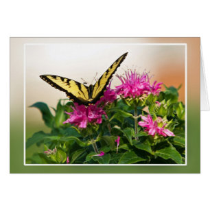 Eastern Tiger Swallowtail Butterfly Cards