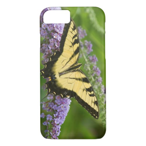 Eastern Tiger Swallowtail butterfly iPhone 87 Case