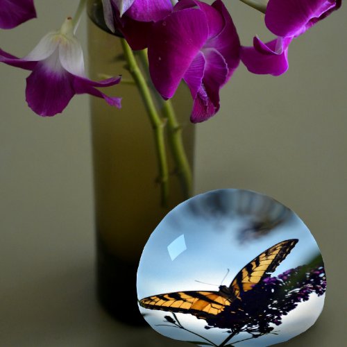 Eastern Tiger Swallowtail Butterfly Glass Paperweight