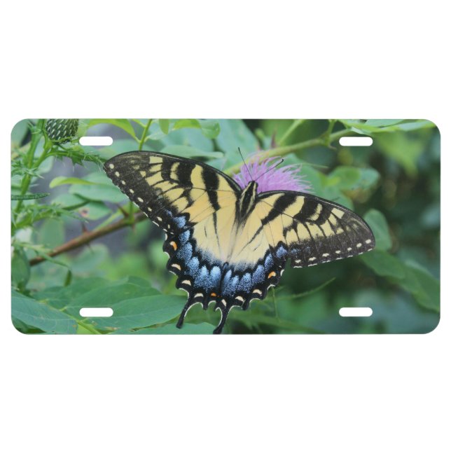Eastern Tiger Swallowtail Butterfly License Plate (Front)